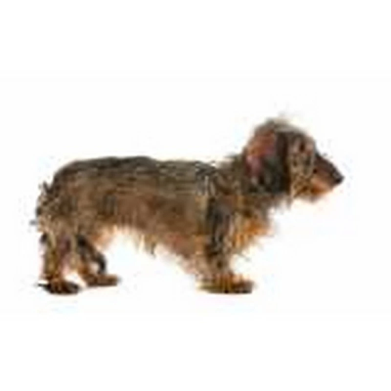 desembolar pelo de cães