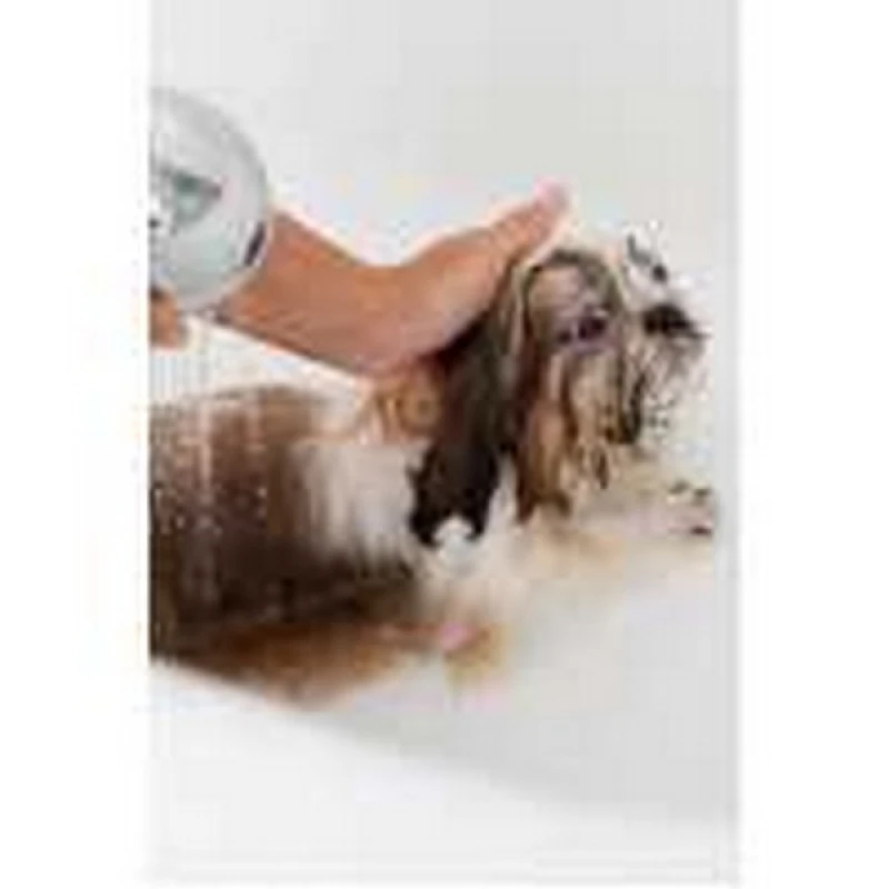 hidratação para cães