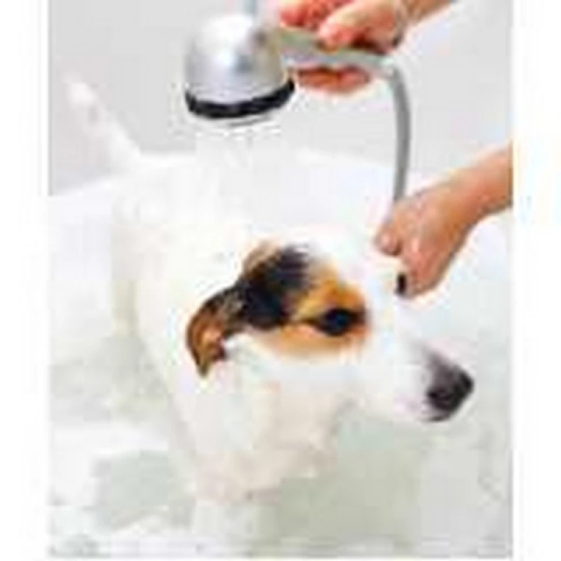 hidratação profunda para cães