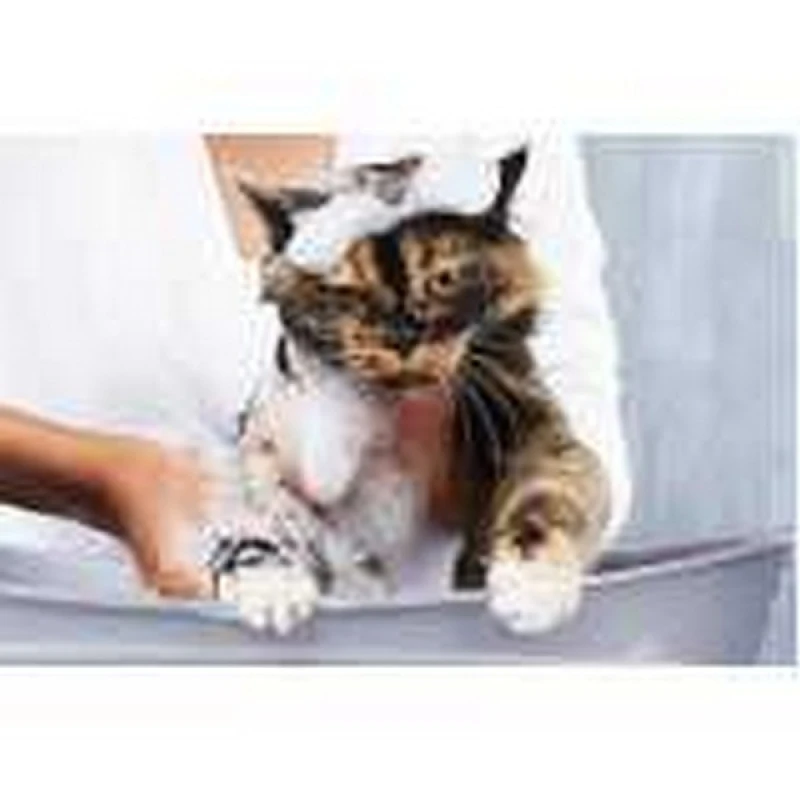 hidratação tonalizante para pets
