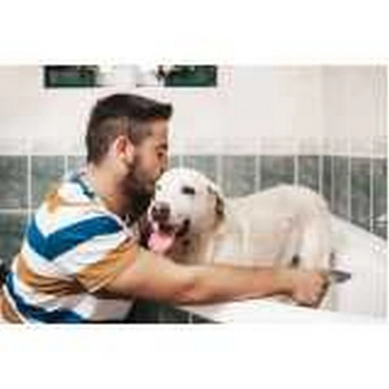 pacote mensal de banho para cachorro de grande porte