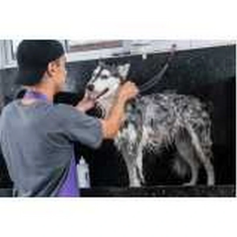 pacote mensal pet shop