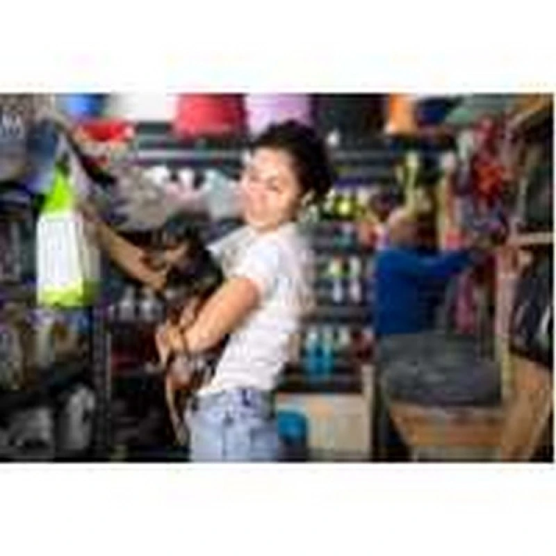 pet shop para animais